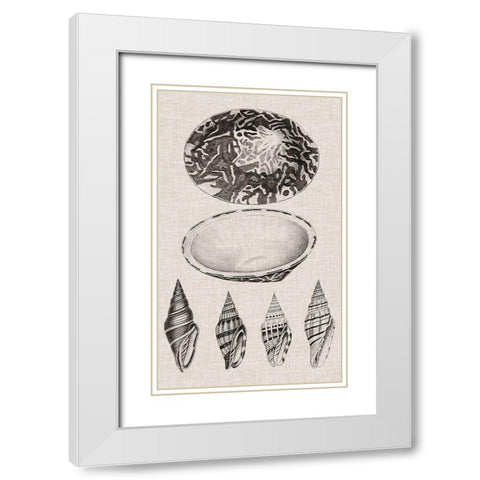 Charcoal and Linen Shells III White Modern Wood Framed Art Print with Double Matting by Vision Studio