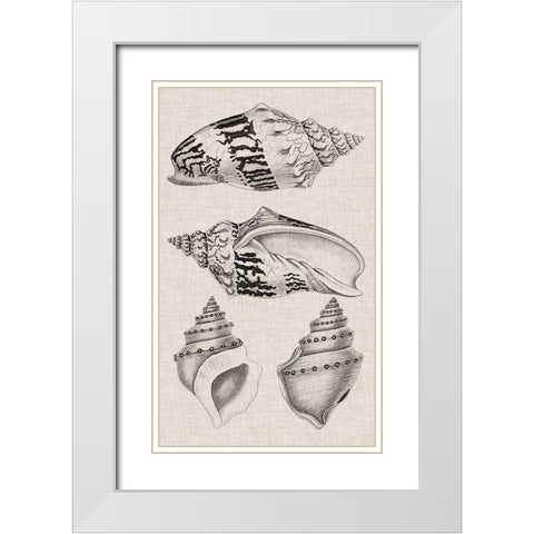 Charcoal and Linen Shells IV White Modern Wood Framed Art Print with Double Matting by Vision Studio