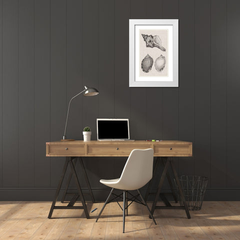 Charcoal and Linen Shells V White Modern Wood Framed Art Print with Double Matting by Vision Studio