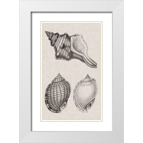 Charcoal and Linen Shells V White Modern Wood Framed Art Print with Double Matting by Vision Studio