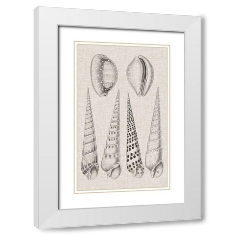 Charcoal and Linen Shells VI White Modern Wood Framed Art Print with Double Matting by Vision Studio