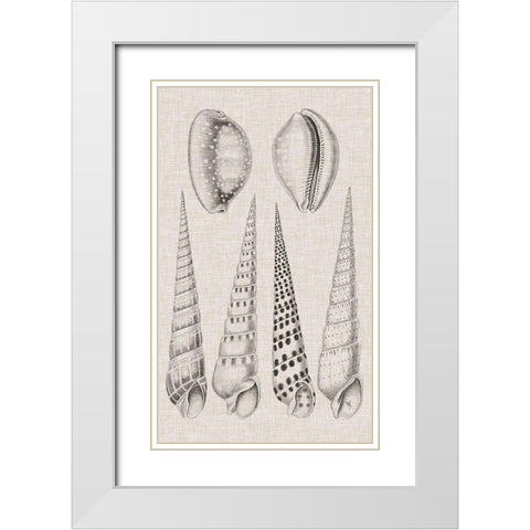 Charcoal and Linen Shells VI White Modern Wood Framed Art Print with Double Matting by Vision Studio