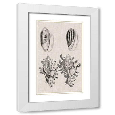 Charcoal and Linen Shells VII White Modern Wood Framed Art Print with Double Matting by Vision Studio
