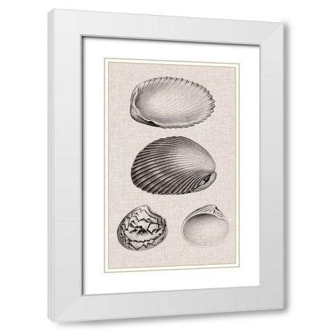 Charcoal and Linen Shells VIII White Modern Wood Framed Art Print with Double Matting by Vision Studio