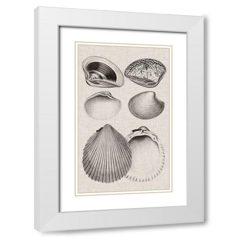 Charcoal and Linen Shells IX White Modern Wood Framed Art Print with Double Matting by Vision Studio