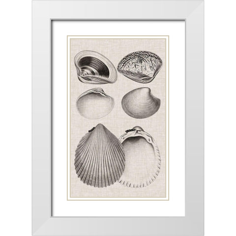 Charcoal and Linen Shells IX White Modern Wood Framed Art Print with Double Matting by Vision Studio
