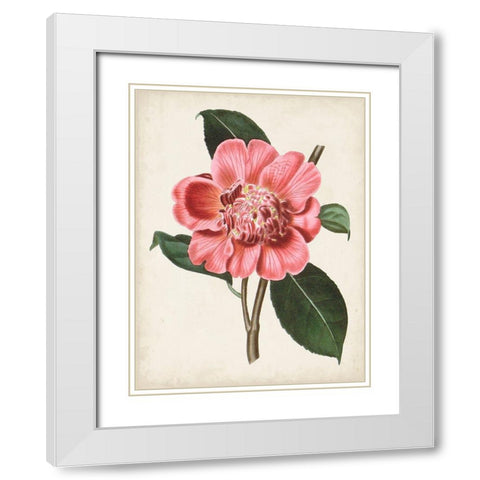 Carnelian Blooms I White Modern Wood Framed Art Print with Double Matting by Curtis