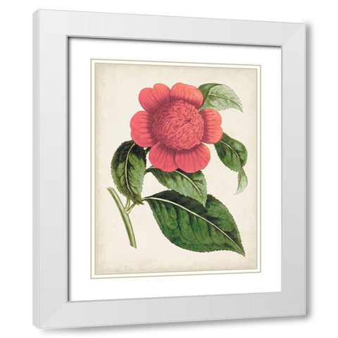 Carnelian Blooms II White Modern Wood Framed Art Print with Double Matting by Curtis