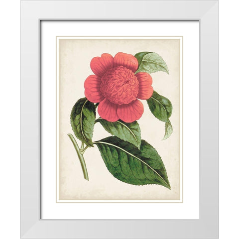Carnelian Blooms II White Modern Wood Framed Art Print with Double Matting by Curtis