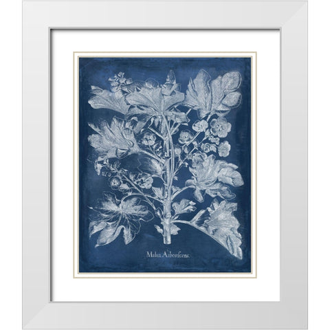 Besler Leaves in Indigo II White Modern Wood Framed Art Print with Double Matting by Vision Studio