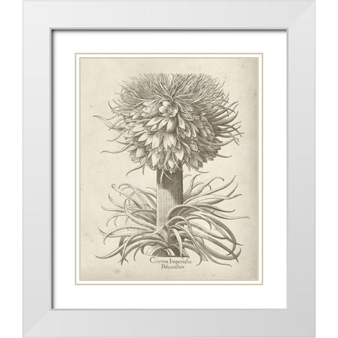 Fresco Crown Imperial I White Modern Wood Framed Art Print with Double Matting by Vision Studio
