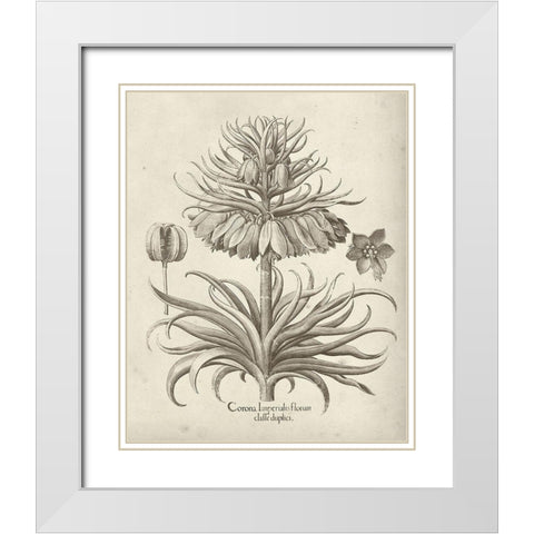 Fresco Crown Imperial III White Modern Wood Framed Art Print with Double Matting by Vision Studio