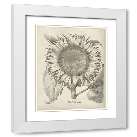 Fresco Sunflower I White Modern Wood Framed Art Print with Double Matting by Vision Studio