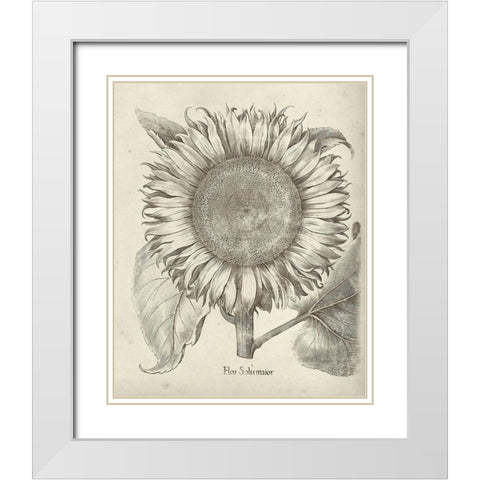 Fresco Sunflower I White Modern Wood Framed Art Print with Double Matting by Vision Studio