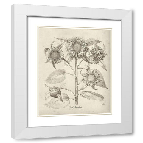 Fresco Sunflower II White Modern Wood Framed Art Print with Double Matting by Vision Studio