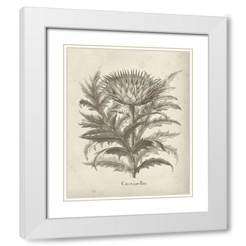 Fresco Artichoke I White Modern Wood Framed Art Print with Double Matting by Vision Studio