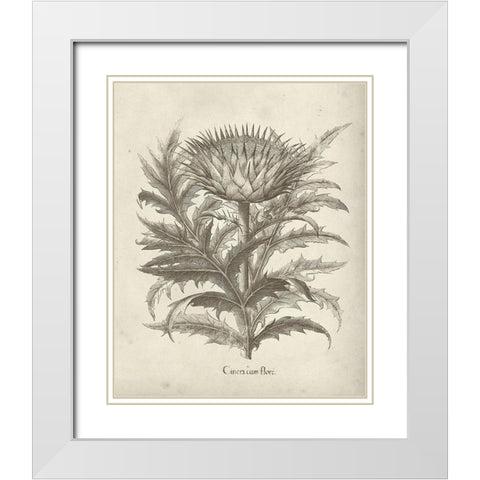 Fresco Artichoke I White Modern Wood Framed Art Print with Double Matting by Vision Studio