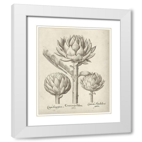 Fresco Artichoke II White Modern Wood Framed Art Print with Double Matting by Vision Studio