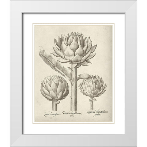 Fresco Artichoke II White Modern Wood Framed Art Print with Double Matting by Vision Studio