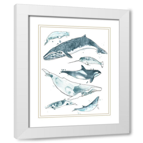 Cetacea I White Modern Wood Framed Art Print with Double Matting by Vess, June Erica