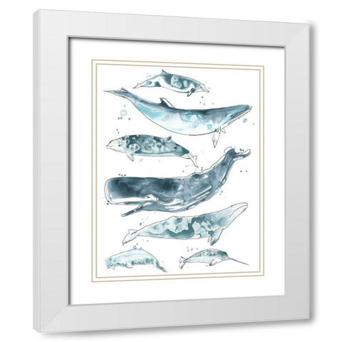 Cetacea II White Modern Wood Framed Art Print with Double Matting by Vess, June Erica