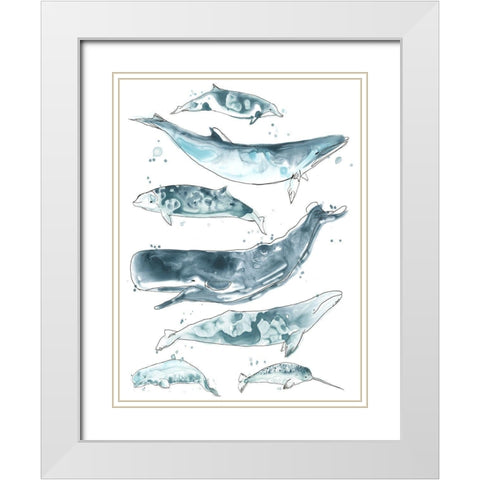 Cetacea II White Modern Wood Framed Art Print with Double Matting by Vess, June Erica