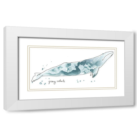 Cetacea Gray Whale White Modern Wood Framed Art Print with Double Matting by Vess, June Erica