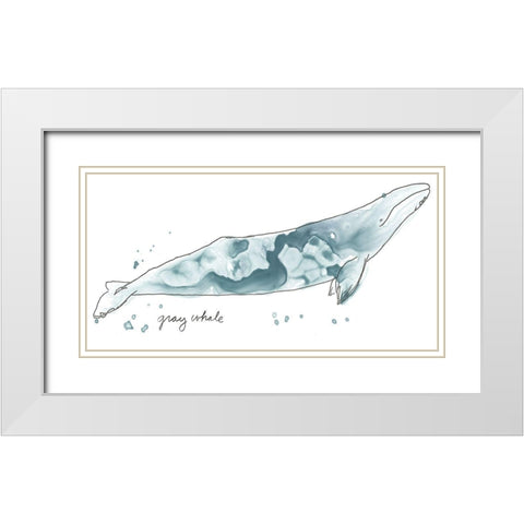 Cetacea Gray Whale White Modern Wood Framed Art Print with Double Matting by Vess, June Erica