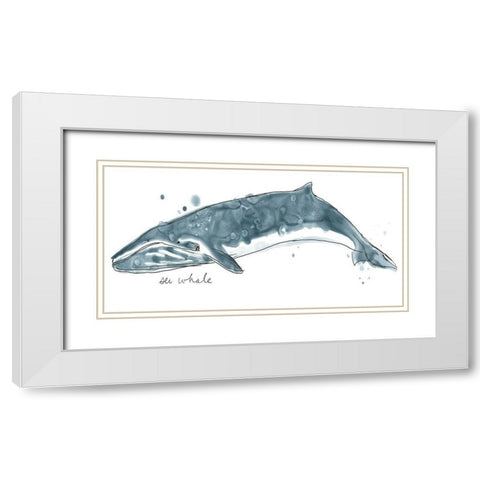 Cetacea Sei Whale White Modern Wood Framed Art Print with Double Matting by Vess, June Erica