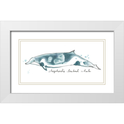 Cetacea Shepherds Beak Whale White Modern Wood Framed Art Print with Double Matting by Vess, June Erica