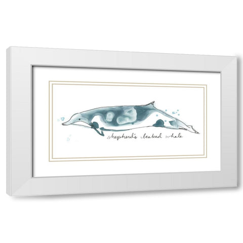 Cetacea Shepherds Beak Whale White Modern Wood Framed Art Print with Double Matting by Vess, June Erica