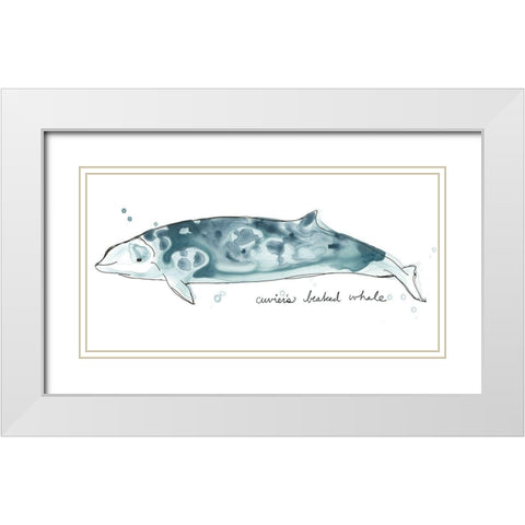 Cetacea Cuviers Beaked Whale White Modern Wood Framed Art Print with Double Matting by Vess, June Erica
