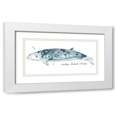 Cetacea Cuviers Beaked Whale White Modern Wood Framed Art Print with Double Matting by Vess, June Erica