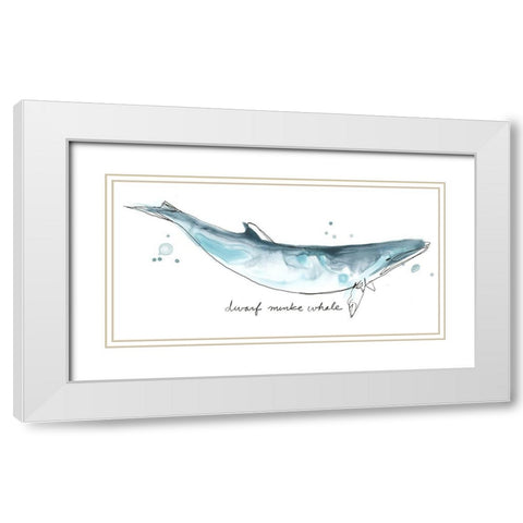 Cetacea Dwarf Minke Whale White Modern Wood Framed Art Print with Double Matting by Vess, June Erica