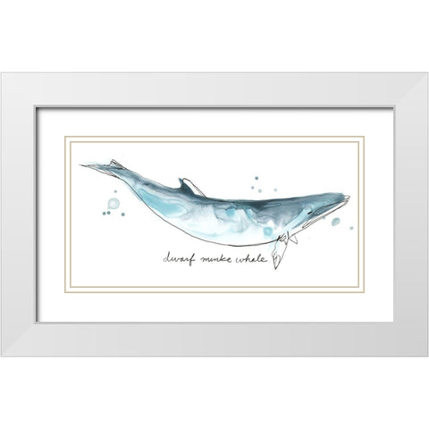 Cetacea Dwarf Minke Whale White Modern Wood Framed Art Print with Double Matting by Vess, June Erica