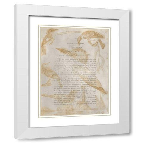 Ornithology Impressions I White Modern Wood Framed Art Print with Double Matting by Wilson, Alexander