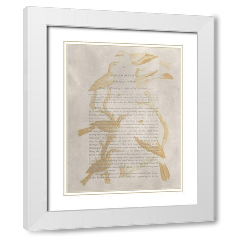 Ornithology Impressions II White Modern Wood Framed Art Print with Double Matting by Wilson, Alexander