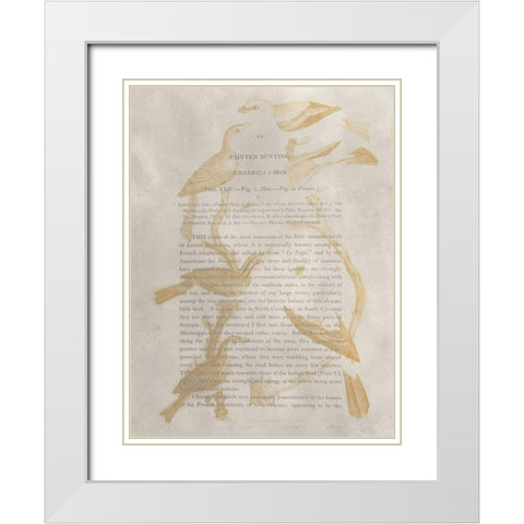 Ornithology Impressions II White Modern Wood Framed Art Print with Double Matting by Wilson, Alexander