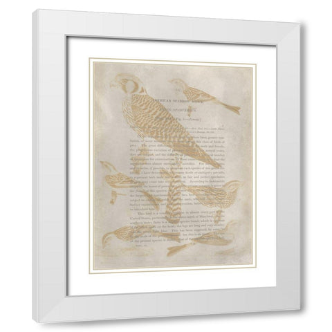 Ornithology Impressions V White Modern Wood Framed Art Print with Double Matting by Wilson, Alexander