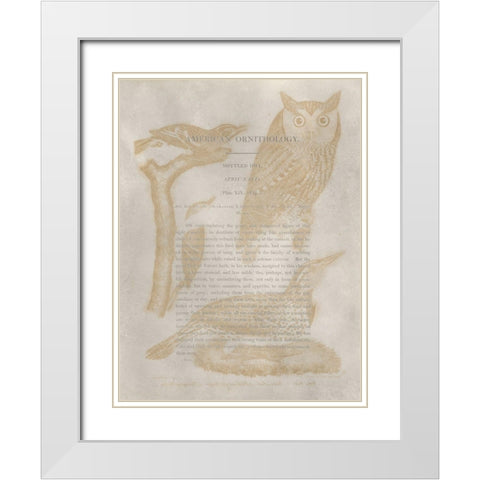 Ornithology Impressions VI White Modern Wood Framed Art Print with Double Matting by Wilson, Alexander