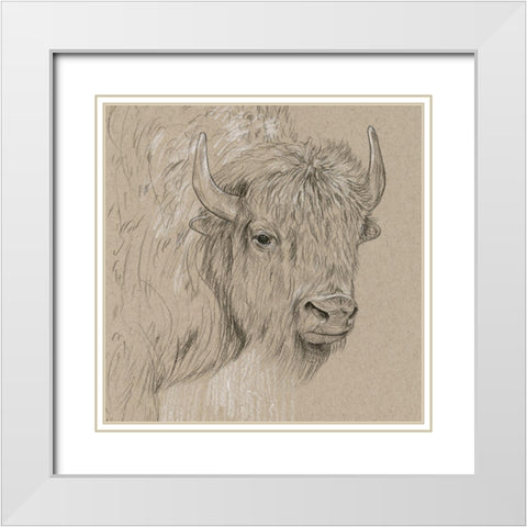 Bison Sketch I White Modern Wood Framed Art Print with Double Matting by Wang, Melissa