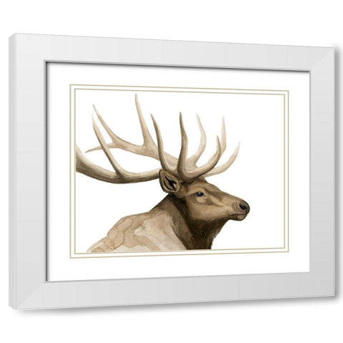 Call of the Elk I White Modern Wood Framed Art Print with Double Matting by Popp, Grace