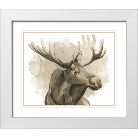 Bull Moose I White Modern Wood Framed Art Print with Double Matting by Popp, Grace