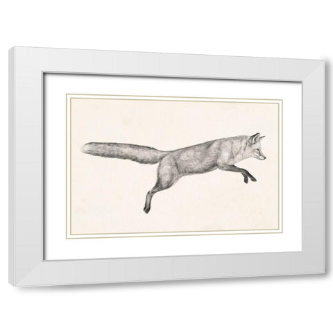 Flying Fox I White Modern Wood Framed Art Print with Double Matting by Borges, Victoria