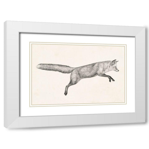 Flying Fox I White Modern Wood Framed Art Print with Double Matting by Borges, Victoria
