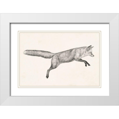 Flying Fox I White Modern Wood Framed Art Print with Double Matting by Borges, Victoria