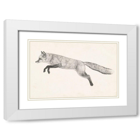Flying Fox II White Modern Wood Framed Art Print with Double Matting by Borges, Victoria