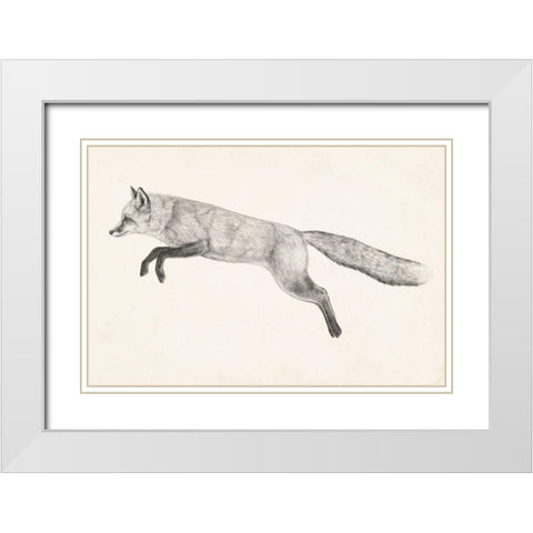 Flying Fox II White Modern Wood Framed Art Print with Double Matting by Borges, Victoria