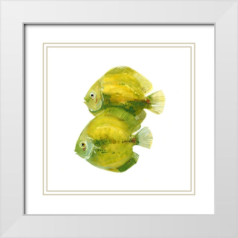 Discus Fish II White Modern Wood Framed Art Print with Double Matting by Scarvey, Emma