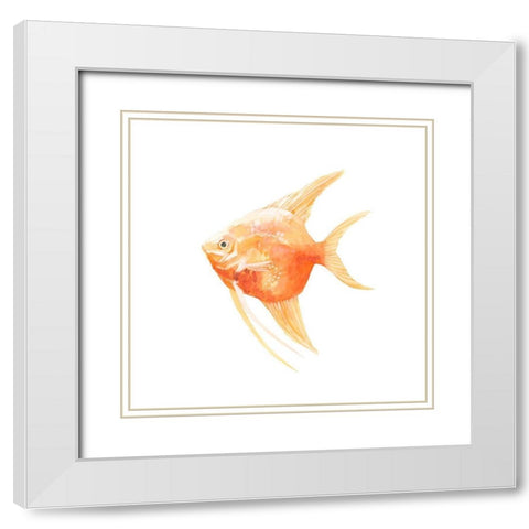 Discus Fish III White Modern Wood Framed Art Print with Double Matting by Scarvey, Emma